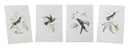 Melrose Tabletop Encyclopedia Hummingbird Print Wall Decor, Modern, Wood