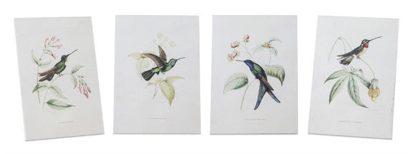 Melrose Tabletop Encyclopedia Hummingbird Print Wall Decor, Modern, Wood