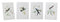 Melrose Tabletop Encyclopedia Hummingbird Print Wall Decor, Modern, Wood