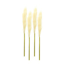 Melrose Cream Pampas Gass Stem (Set of 4)