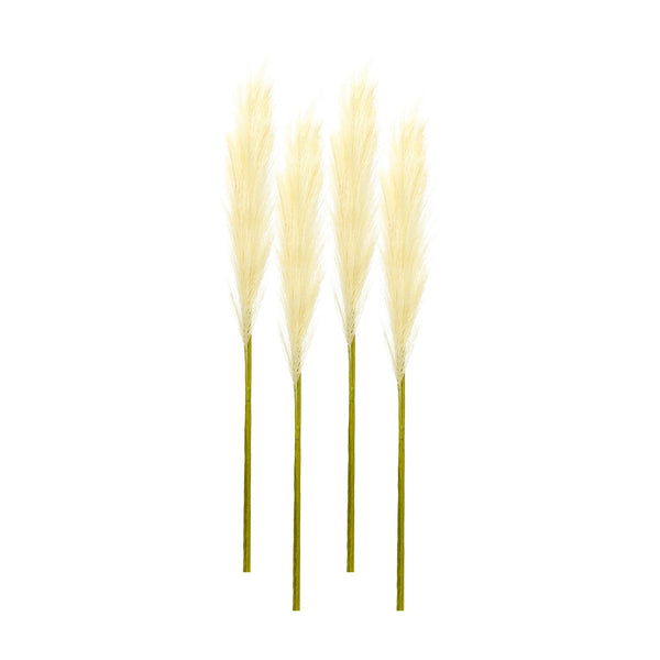 Melrose Cream Pampas Gass Stem (Set of 4)