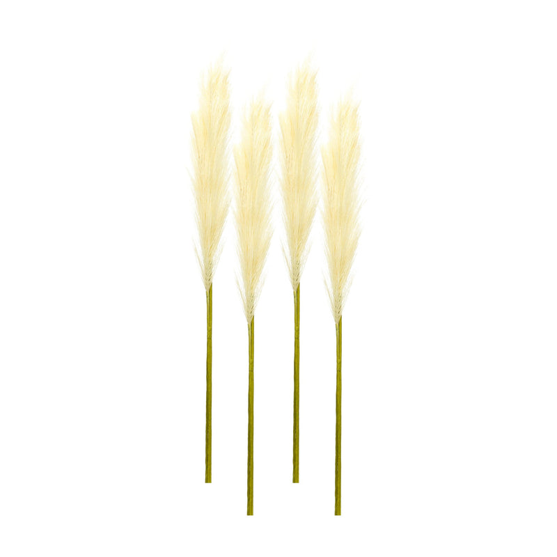 Melrose Cream Pampas Gass Stem (Set of 4)