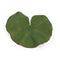 Melrose Assorted Bag of Leaves Filler (Set of 12)