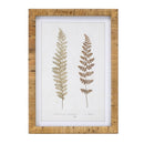 Melrose Wood Framed Fern Print Wall Decor, Rustic, Wood