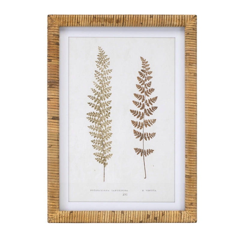 Melrose Wood Framed Fern Print Wall Decor, Rustic, Wood