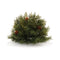 Melrose Pine Half Orb with Pinecones (Set of 2)