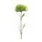 Melrose Puff Flower Stem (Set of 6)
