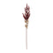 Melrose Fall Clusttered Berry Stem (Set of 6)