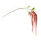 Melrose Amaranthus Floral Stem (Set of 4)