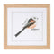 Melrose Framed Bird Print Under Glass Wall Decor, Wood