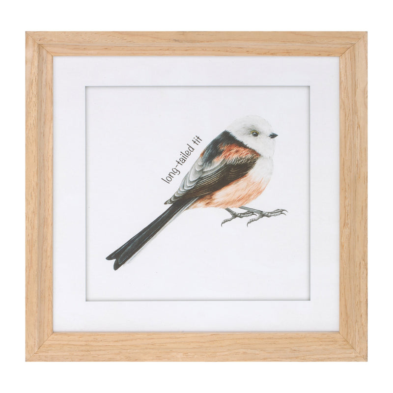 Melrose Framed Bird Print Under Glass Wall Decor, Wood