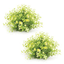 Melrose Mini Leaf Foliage Half Orb (Set of 2)