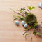 Melrose Bird Egg Filler Decor (Bag of 16)