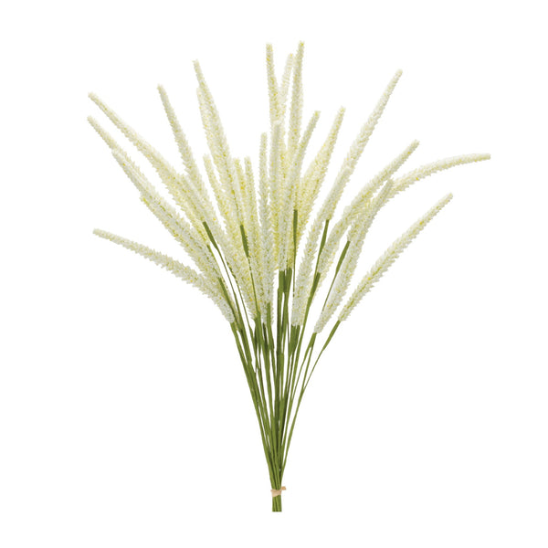 Melrose Foxtail Bundle (Set of 6)
