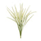 Melrose Foxtail Bundle (Set of 6)