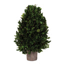 Melrose Natural Boxwood Foliage Topiary 15.5"H