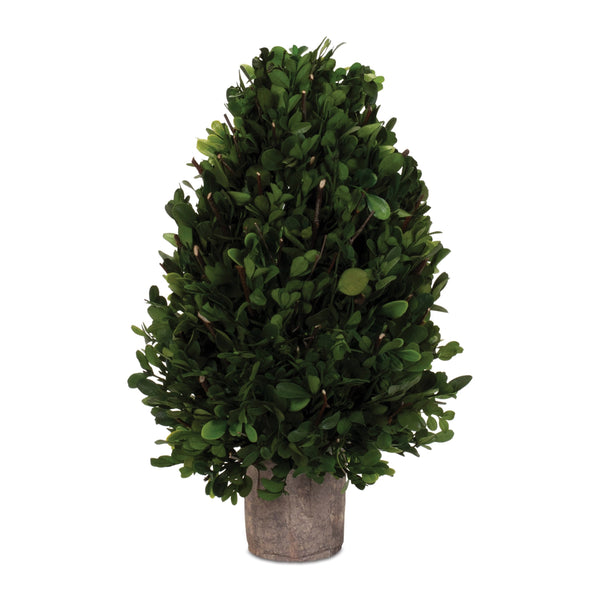 Melrose Natural Boxwood Foliage Topiary 15.5"H