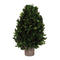 Melrose Natural Boxwood Foliage Topiary 15.5"H