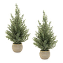 Melrose Potted Mini Pine Tree (Set of 2)