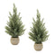 Melrose Potted Mini Pine Tree (Set of 2)