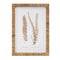 Melrose Wood Framed Fern Print Wall Decor, Rustic, Wood