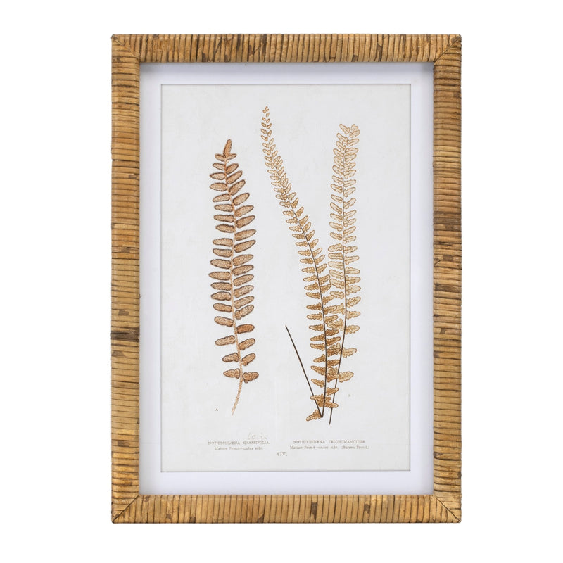 Melrose Wood Framed Fern Print Wall Decor, Rustic, Wood
