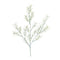 Melrose Rosemary Foliage Spray (Set of 6)