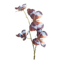 Melrose Butterfly Spray (Set of 6)