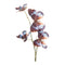 Melrose Butterfly Spray (Set of 6)