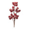 Melrose Beaded Berry Spray (Set of 6)
