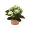 Melrose Assorted Kalanchoe Flower in Terra Cotta (Set of 4)
