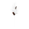 Melrose Pine and Cone Spray (Set of 6)