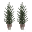 Melrose Potted Mini Pine Tree (Set of 2)