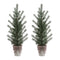Melrose Potted Mini Pine Tree (Set of 2)