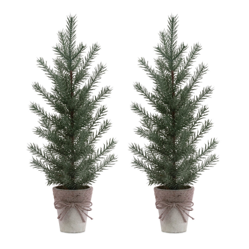 Melrose Potted Mini Pine Tree (Set of 2)