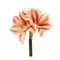Melrose Amaryllis Flower Stem (Set of 6)