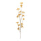 Melrose Golden Patrina Spray (Set of 12)