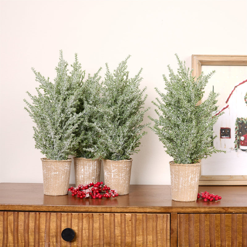 Melrose Frosted Holiday Pine Tree in Paper Pot (Set of 4)