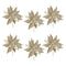 Melrose Glittered Poinsettia Stem (Set of 6)