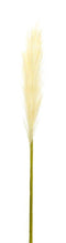 Melrose Cream Pampas Gass Stem (Set of 4)