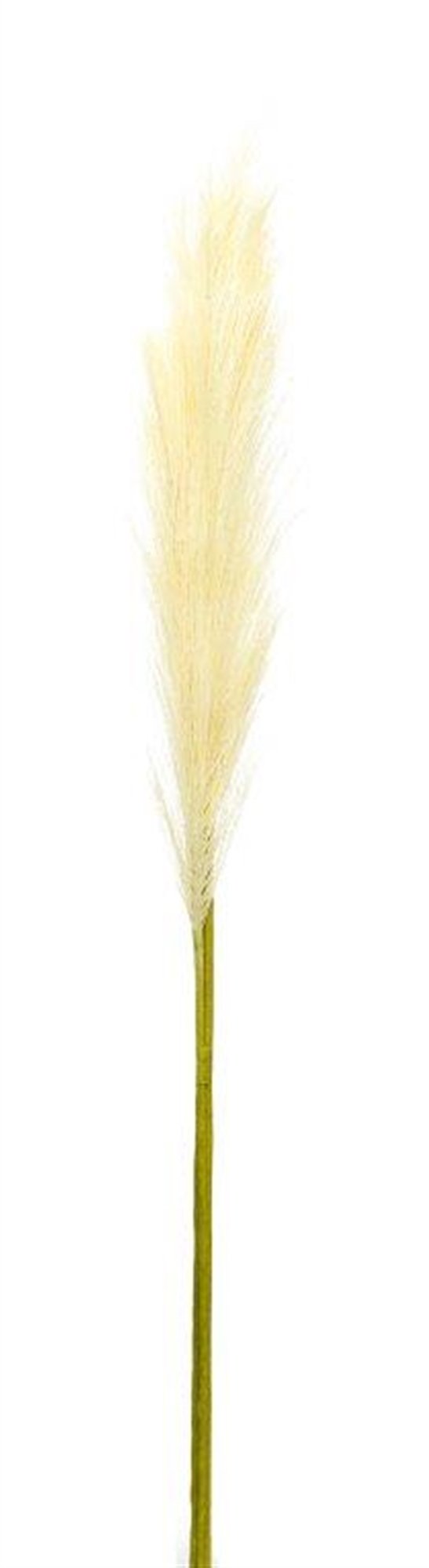 Melrose Cream Pampas Gass Stem (Set of 4)