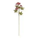 Melrose Sedum Succulent Spray (Set of 6)