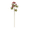 Melrose Sedum Succulent Spray (Set of 6)