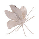 Melrose Flower Petal Butterfly Shelf Sitter (Set of 2) Beige Decor