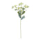 Melrose Euphorbia Floral Stem (Set of 6)