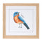 Melrose Framed Bird Print Under Glass Wall Decor, Wood