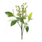Melrose Green Berry Foliage Spray (Set of 6)