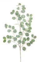 Melrose Frosted Silver Dollar Eucalyptus Spray (Set of 12)