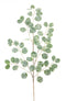 Melrose Frosted Silver Dollar Eucalyptus Spray (Set of 12)