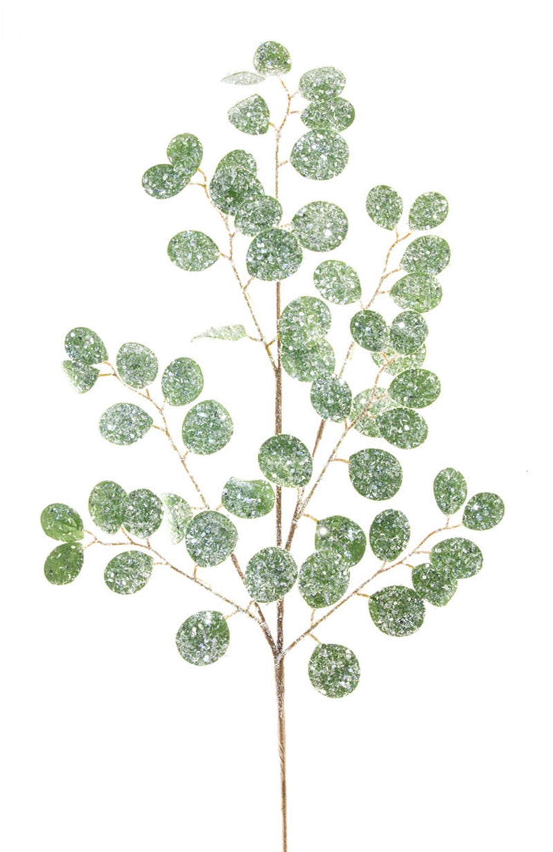 Melrose Frosted Silver Dollar Eucalyptus Spray (Set of 12)